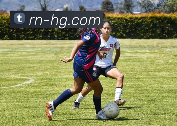 皇冠体育官网APP 体育赛事宣传图